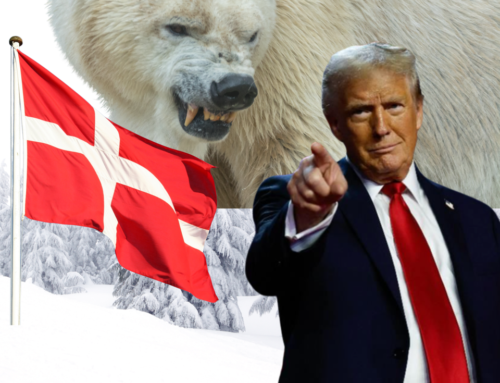 L’Orso Bianco danese: chi lo difenderà
