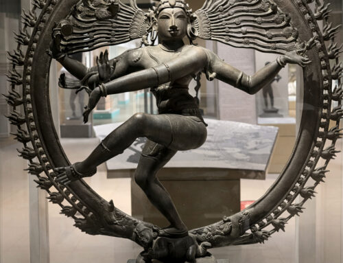 L’India non vuole diventare noi